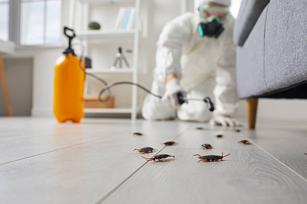 Post-Treatment Bed Bug Interceptor Monitoring in Hearne