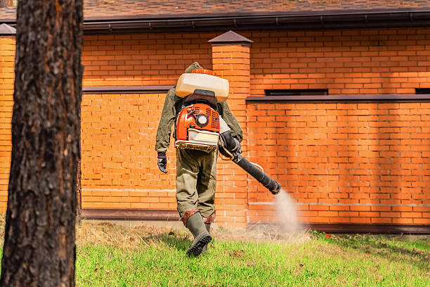 Bed Bug Clearance Verification and Documentation in Hearne
